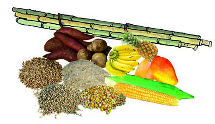 Fig. 3.2: Some sources of carbohydrates